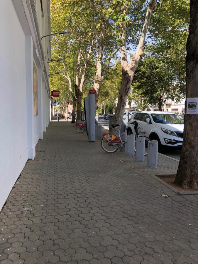 Apartamento 1 Dormitorio Y Salon Con Sofa Cama Bien Comunicado Con El Centro Sevilla Exterior foto